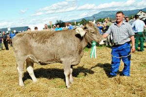 Miss Rind OB Zeno Heidi_Urs Reichmuth Altendorf